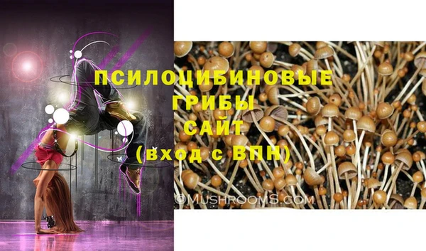 шишки Армянск