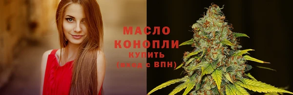 шишки Армянск