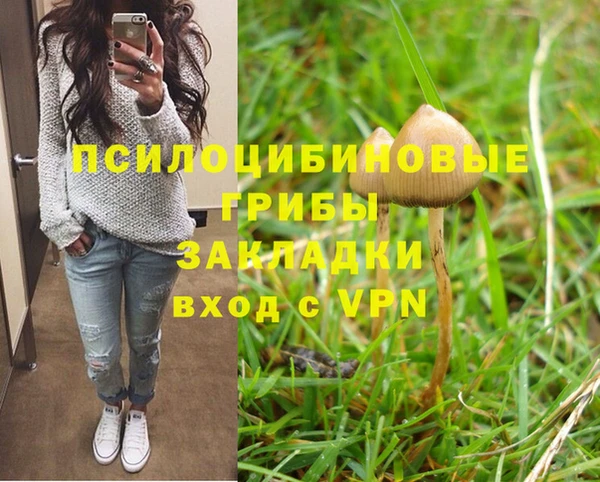 mix Арсеньев