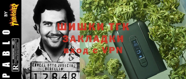 мет Алексин