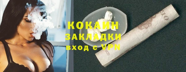 шишки Армянск