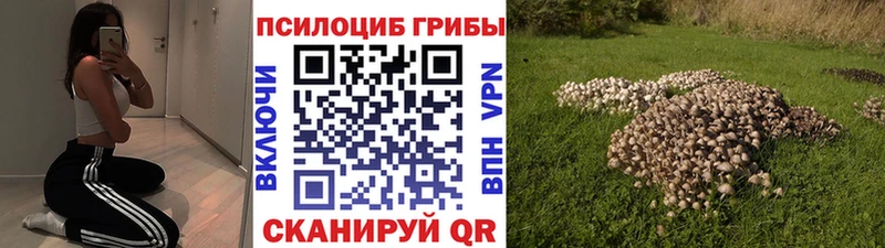 Псилоцибиновые грибы Magic Shrooms  omg маркетплейс  Балей 
